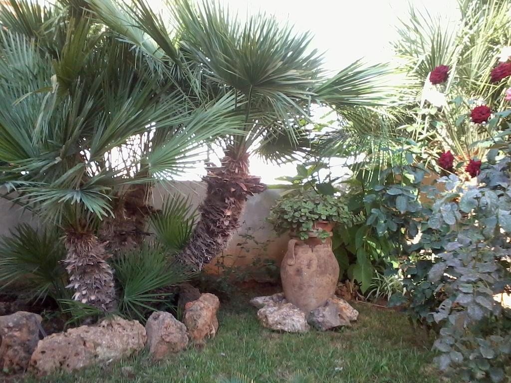 Aurora Bed and breakfast Castelluzzo